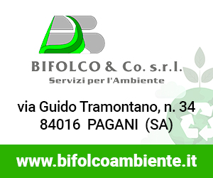 Bifolco & Co. s.r.l.